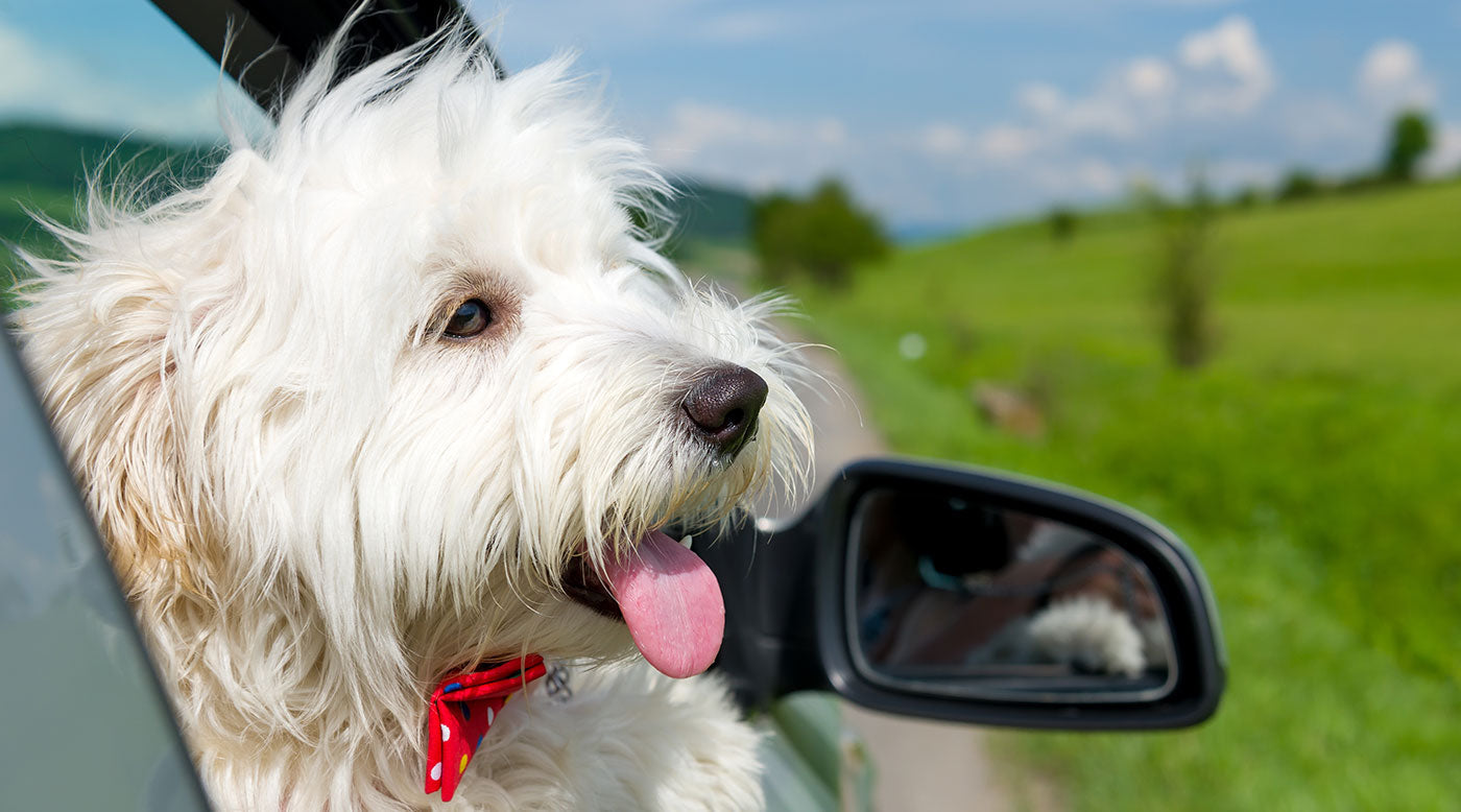 Maulgeruch im Urlaub? Hitze machts schlimmer