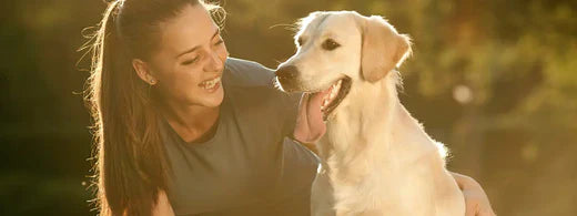 hund oral befriedigen Oralade Advance GI + Oral Rehydration Support | 6 x 500 ml | Flüssiges  Diät-Ergänzungsfuttermittel für Hunde und Katzen