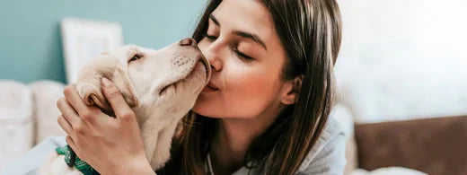Gesunde Zhne beim Hund: Tipps & Pflege | emmi-pet