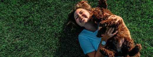 Gelassenheit leicht gemacht: 7 Strategien zur Reduzierung von Angst und Stress bei Hunden