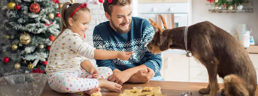 Weihnachtliches Backen - hier lauern Gefahren für Vierbeiner!