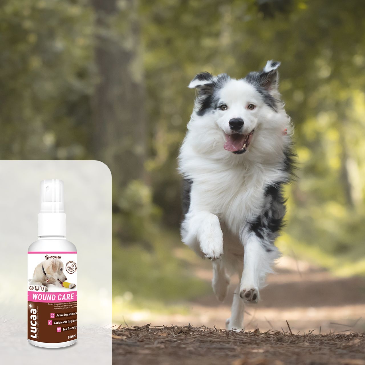 Lucaa+ wound cleaning solution for pets 100ml