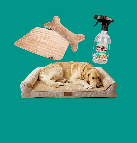 Hundebetten