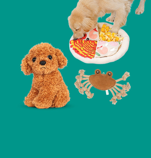Hundespielzeug