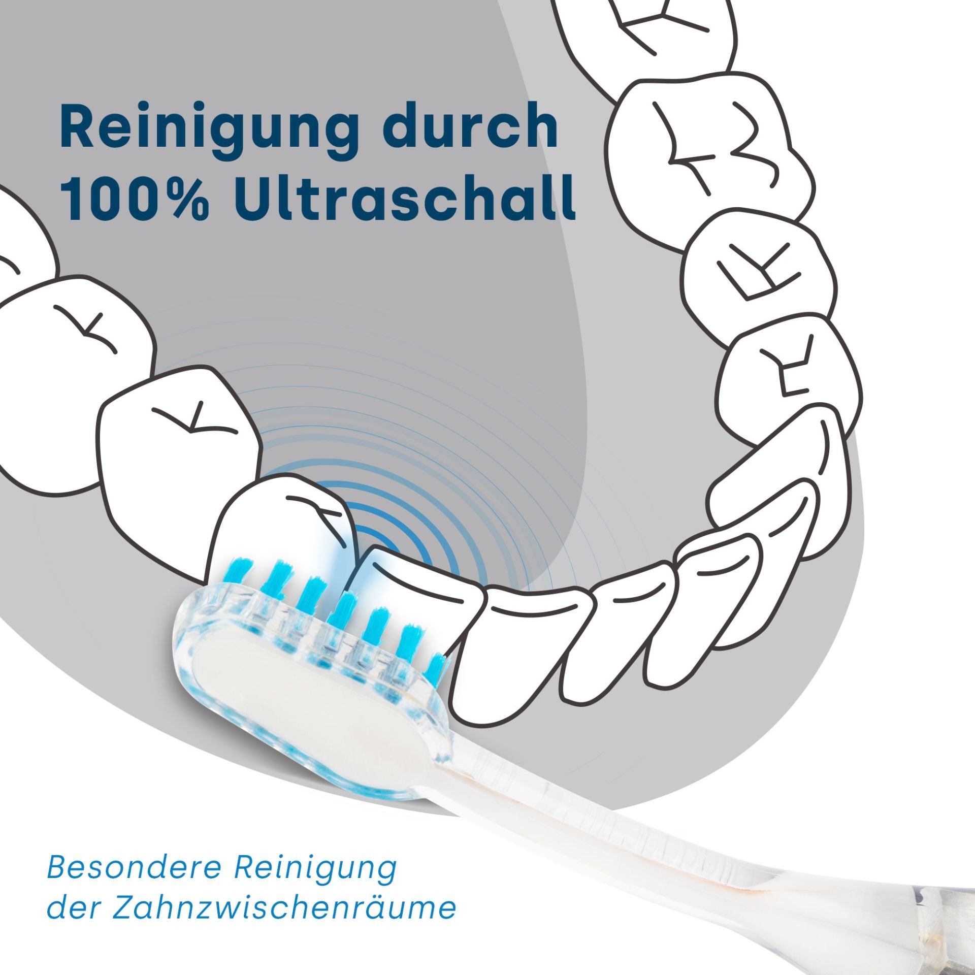 M2 Aufsteckbürsten Platinum