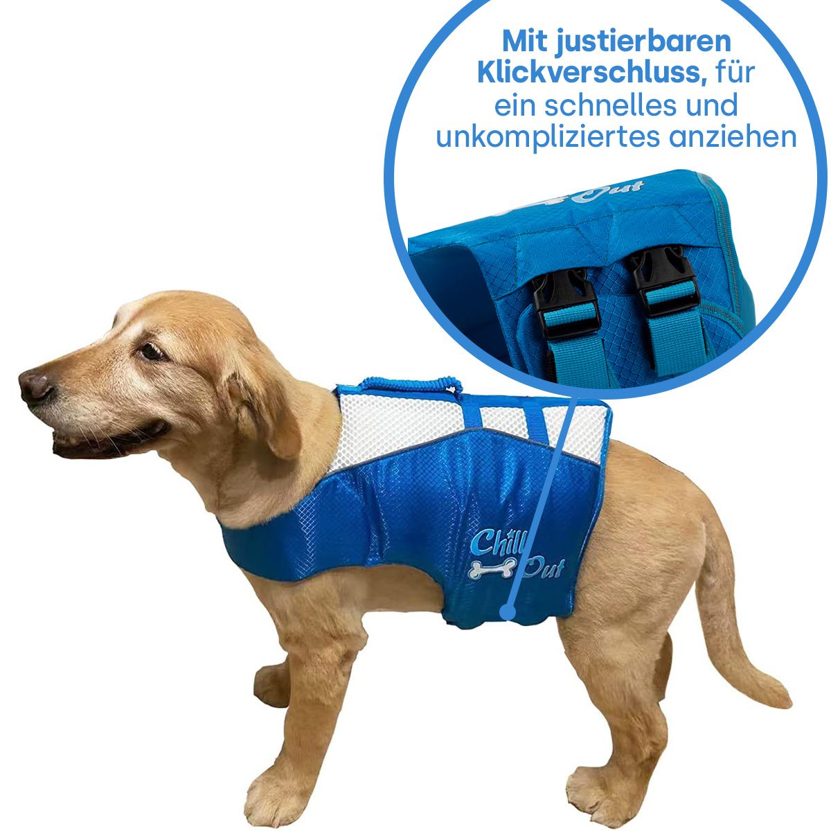 Schwimmweste für Hunde