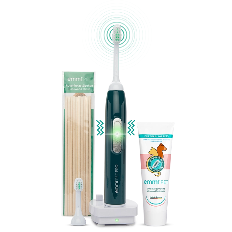 ultrasonic toothbrush PRO