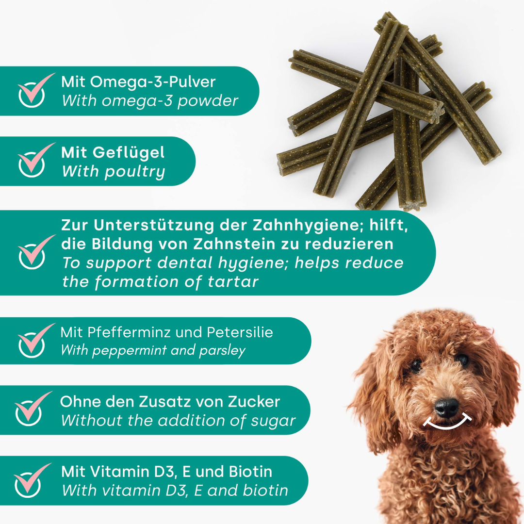 Dentalsticks 3 für 2