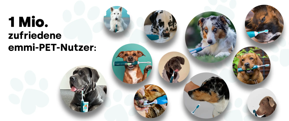 1 Mio. zufriedene emmi-pet Nutzer