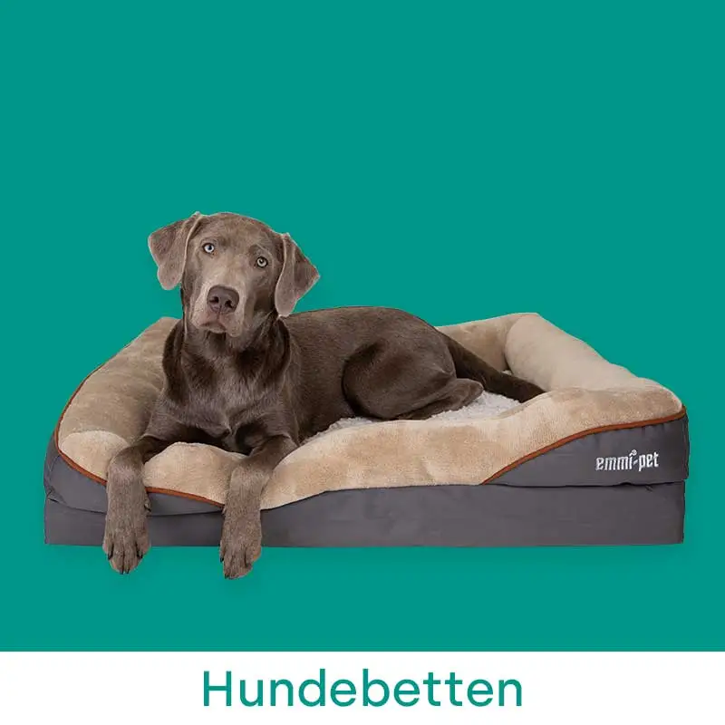 Hundebetten