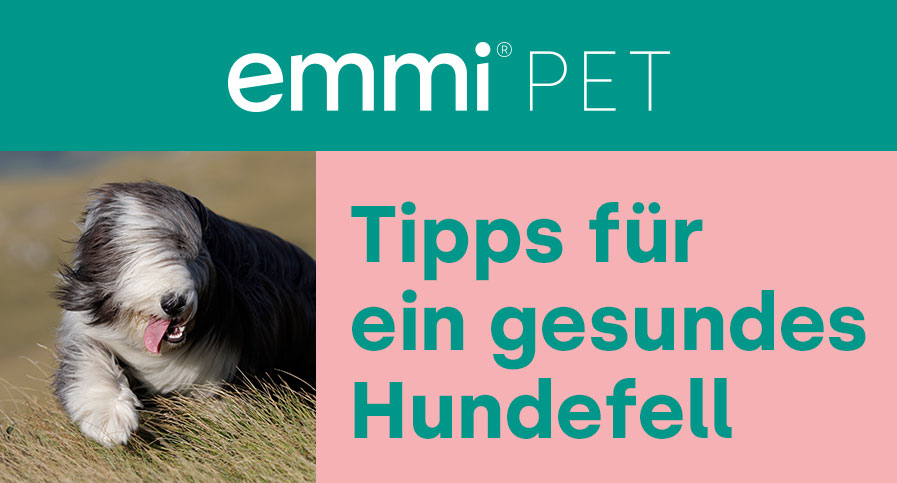 https://emmi-pet.de/media/a2/a6/1f/1697617658/emmi_pet_Tipps_Hundefell_DE.jpg